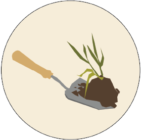 Invasive removal