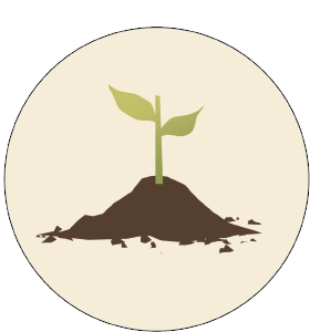 Replanting native species