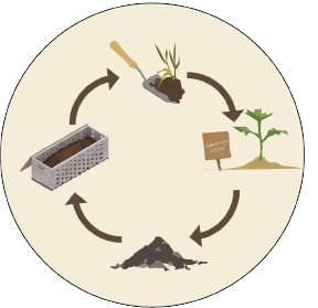 Circular systems