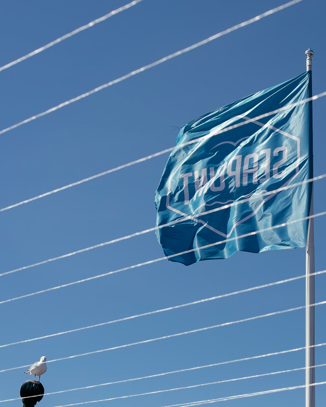 Seapoint Oy, Brändikuva