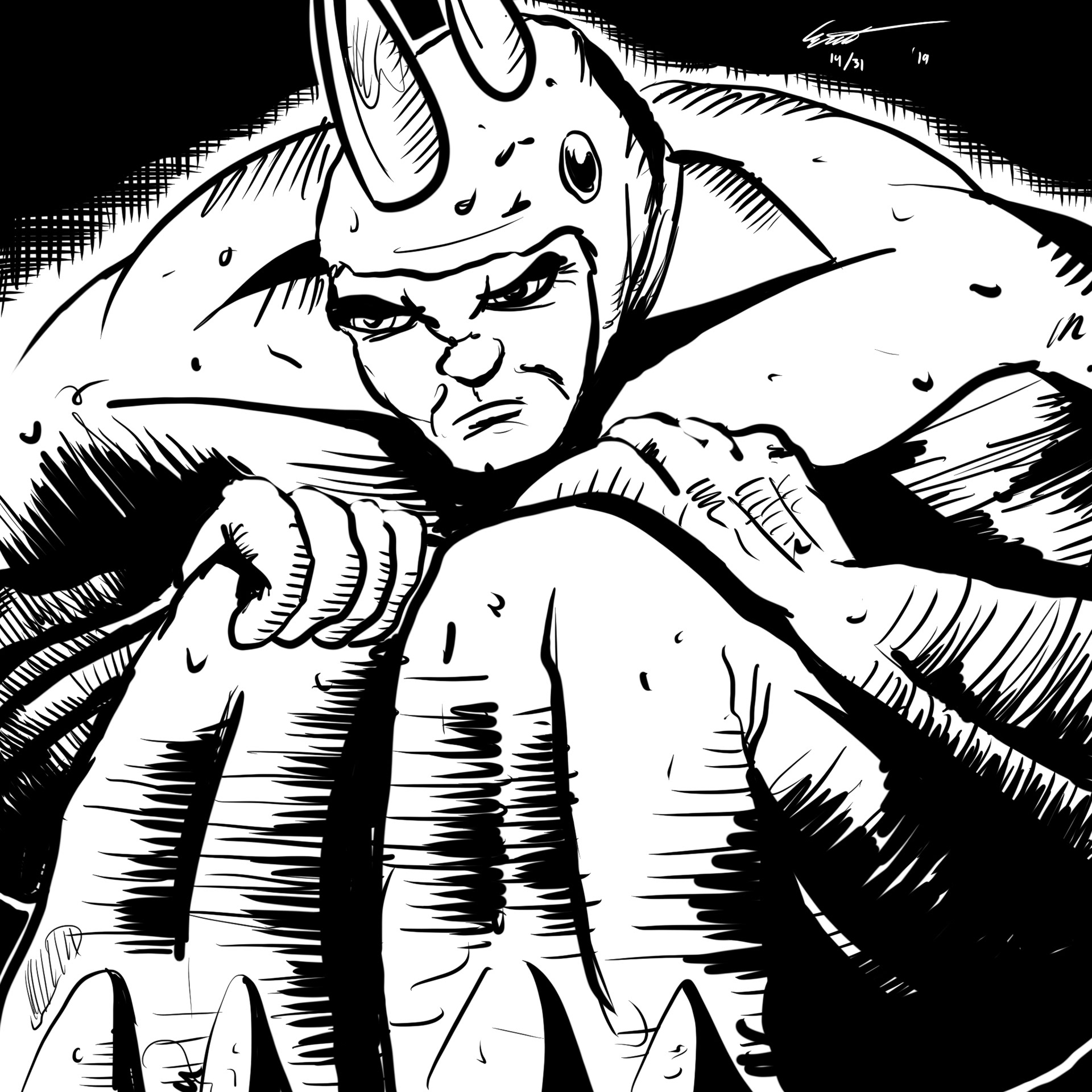 The Rhino