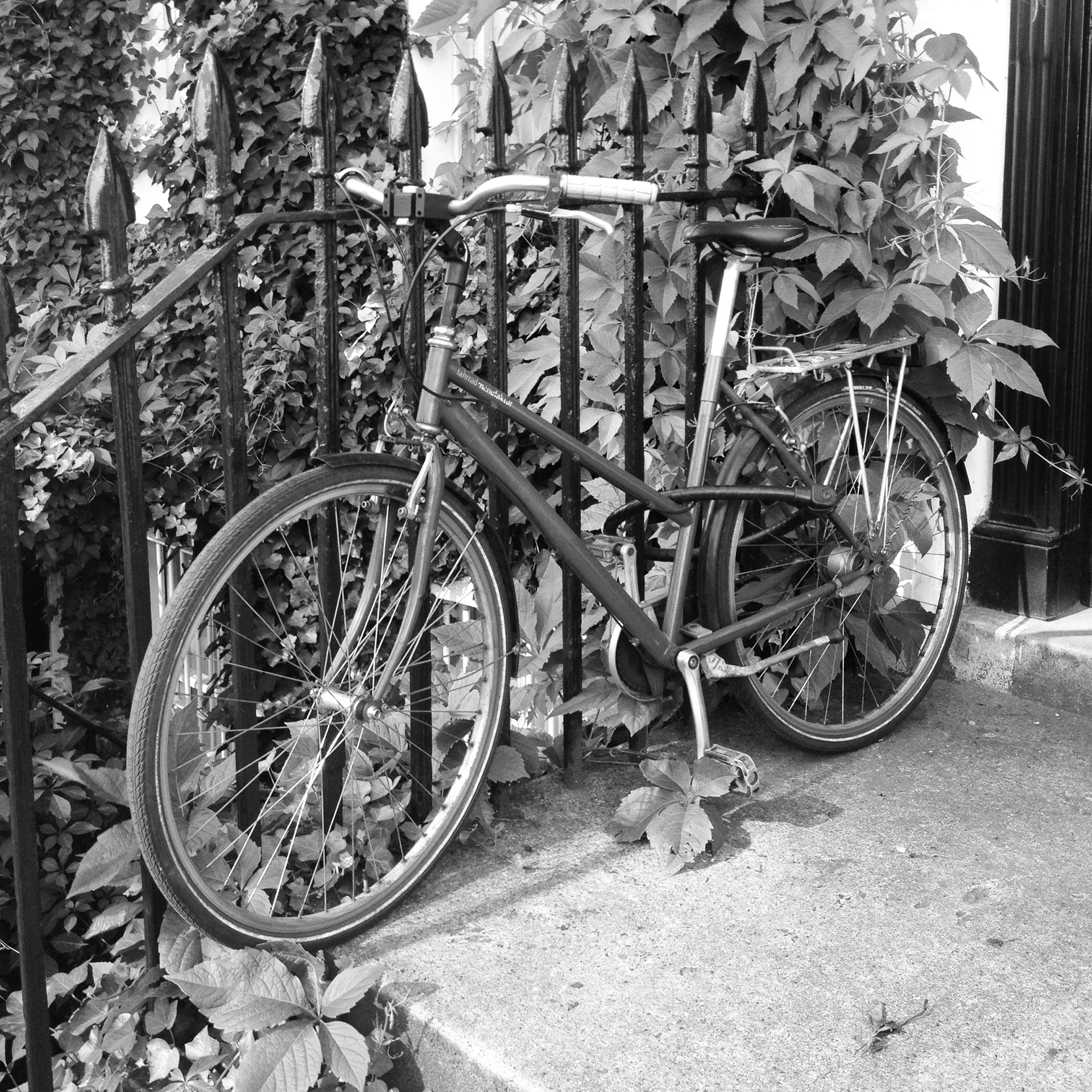 Black and white bicycle