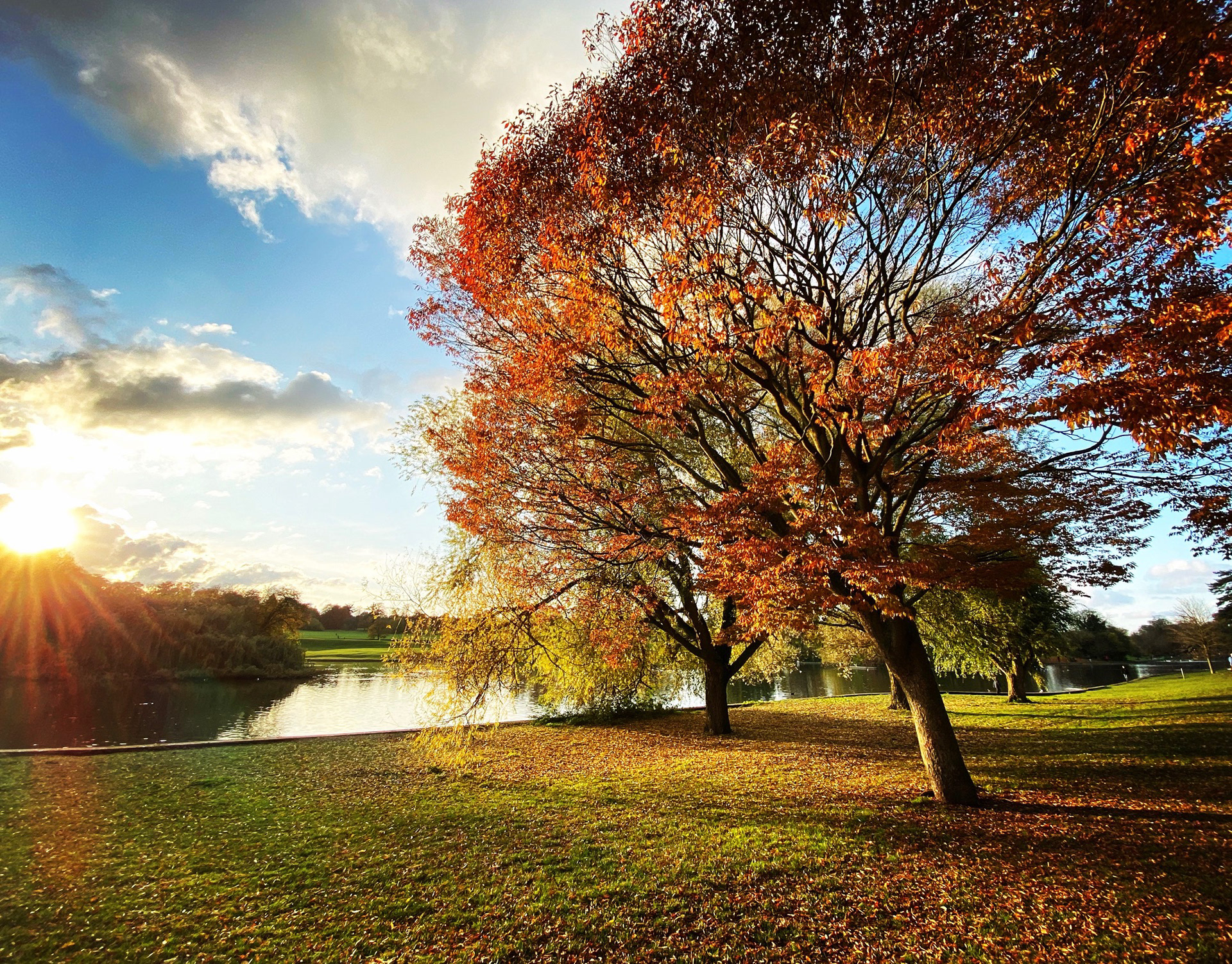 Verulam park in autumn