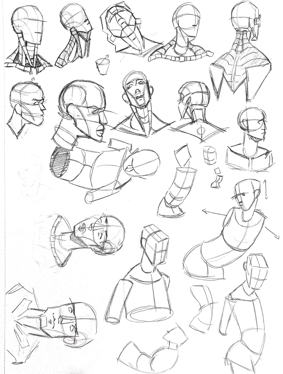 Anatomy Practice 3/3