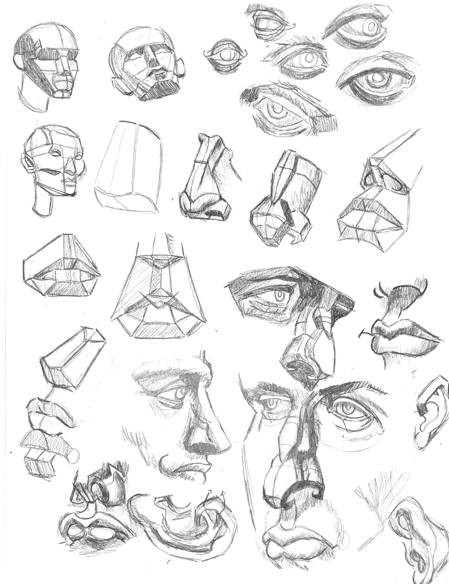 Anatomy Practice 2/3