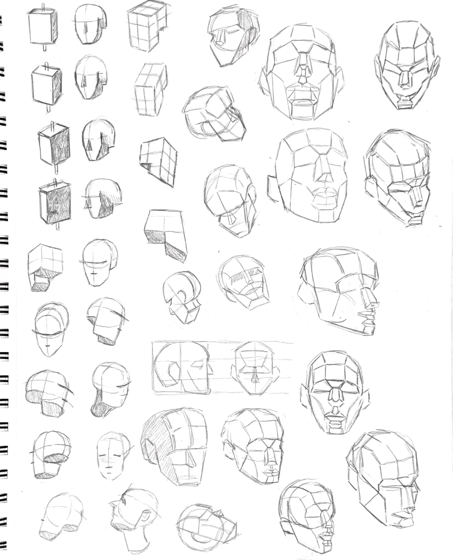 Anatomy Practice 1/3
