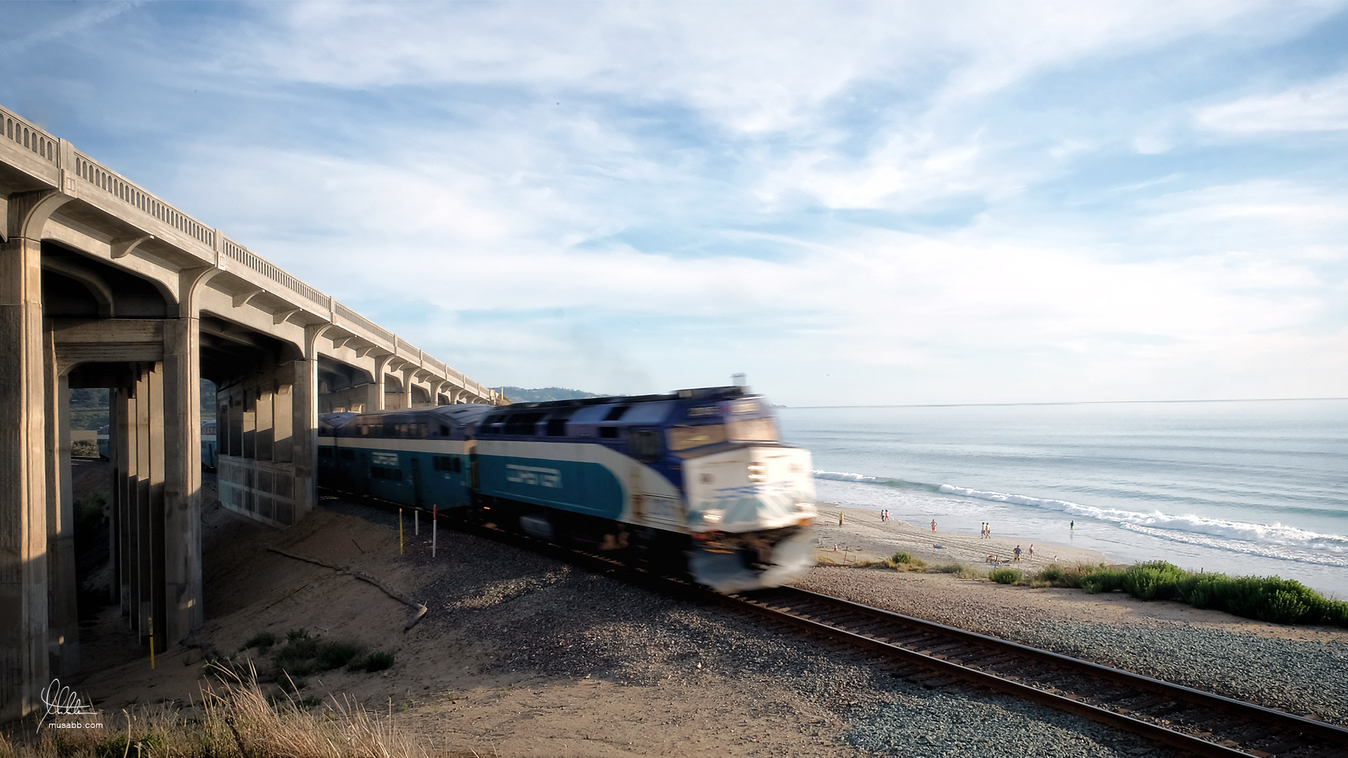 Torry Pines Train