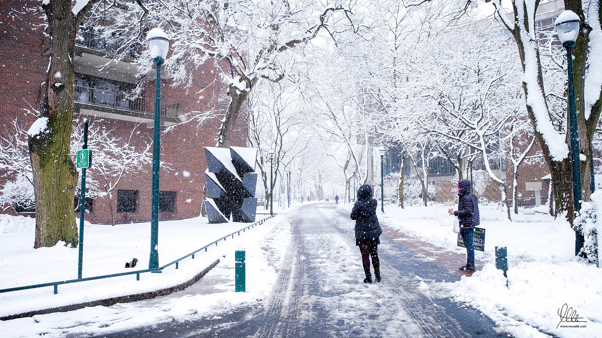 Locust Walk
