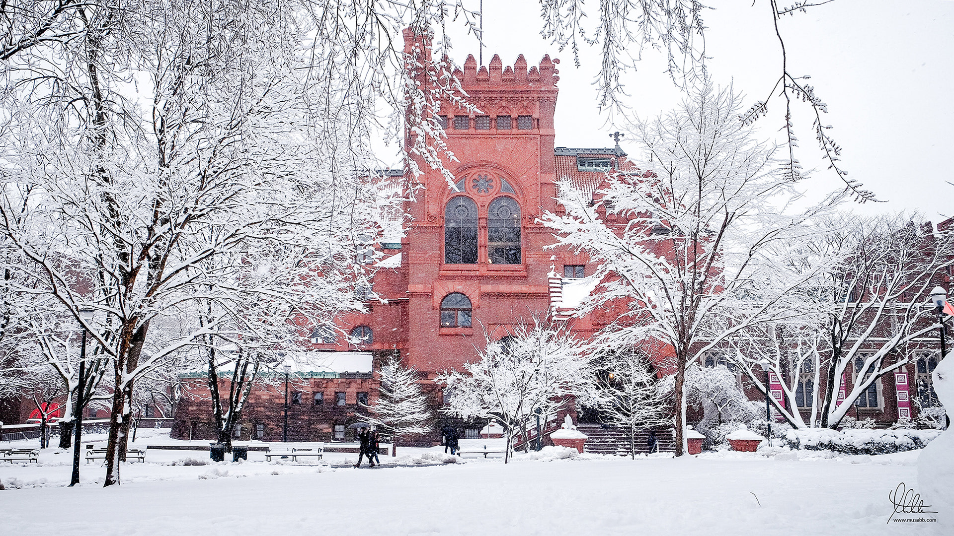 Fisher Fine Art Library