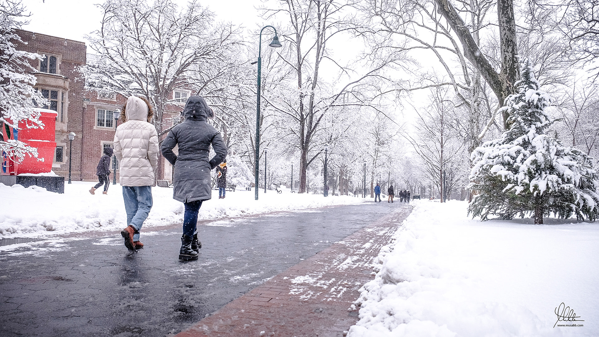 Locust Walk