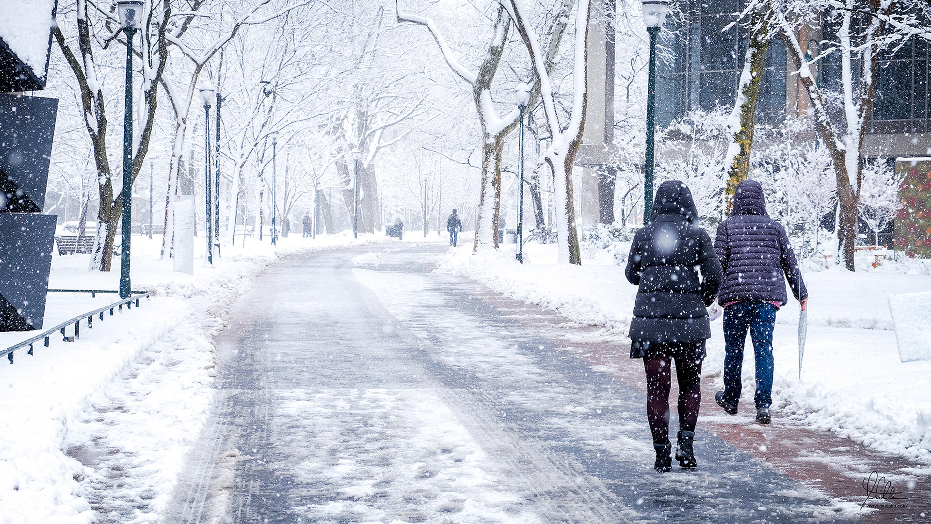 Locust Walk