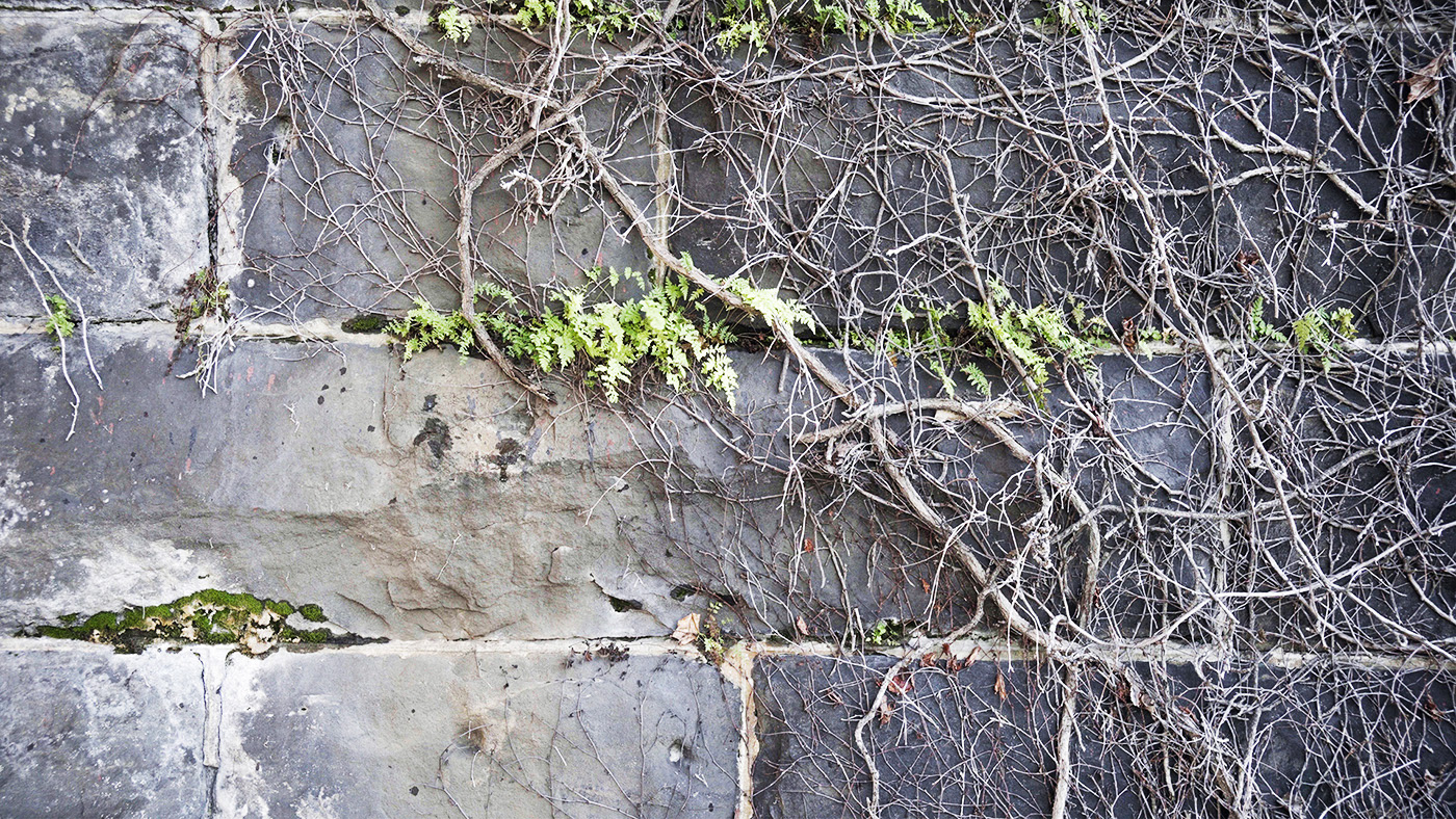 Walnut St. Schuylkill Bridge, PHL