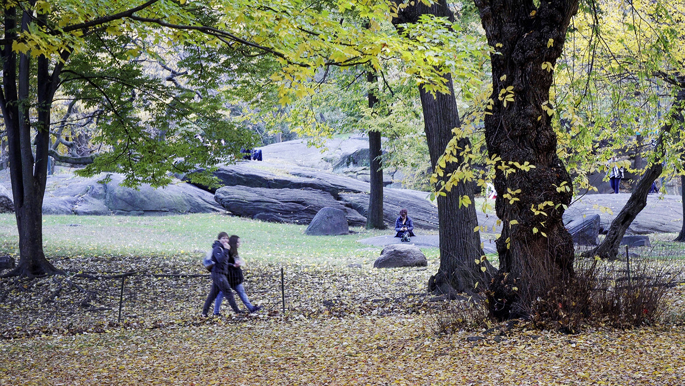 Central Park, NYC