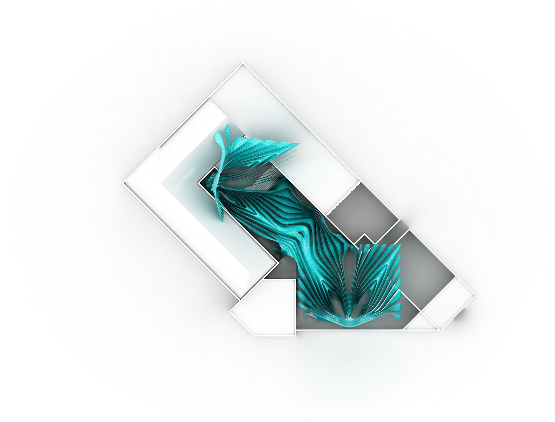 Top View