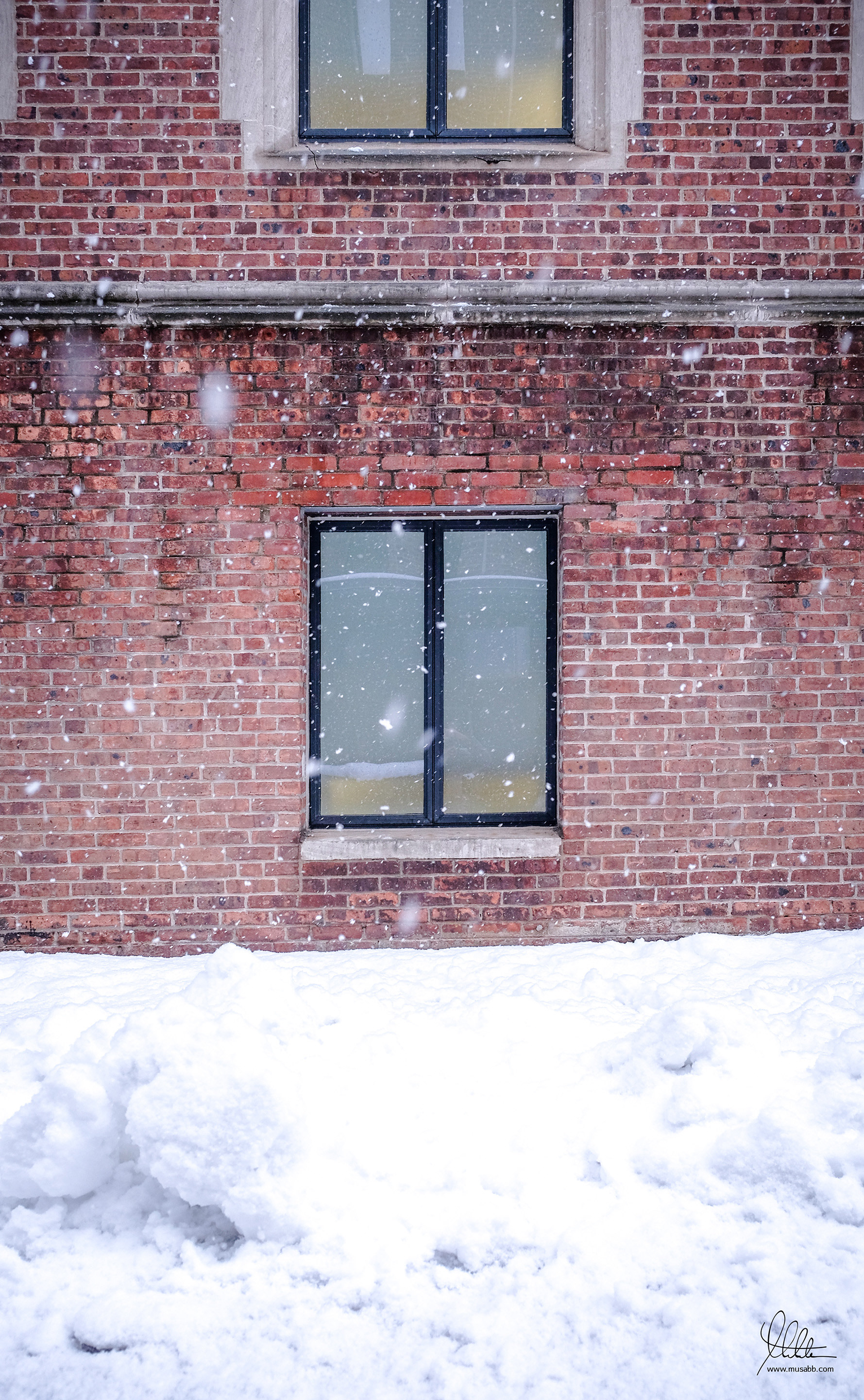 Accumulated Snow