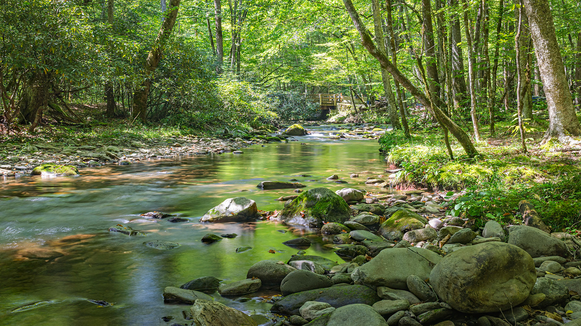 Palmer Creek in Cataloochee Valley North Carolina