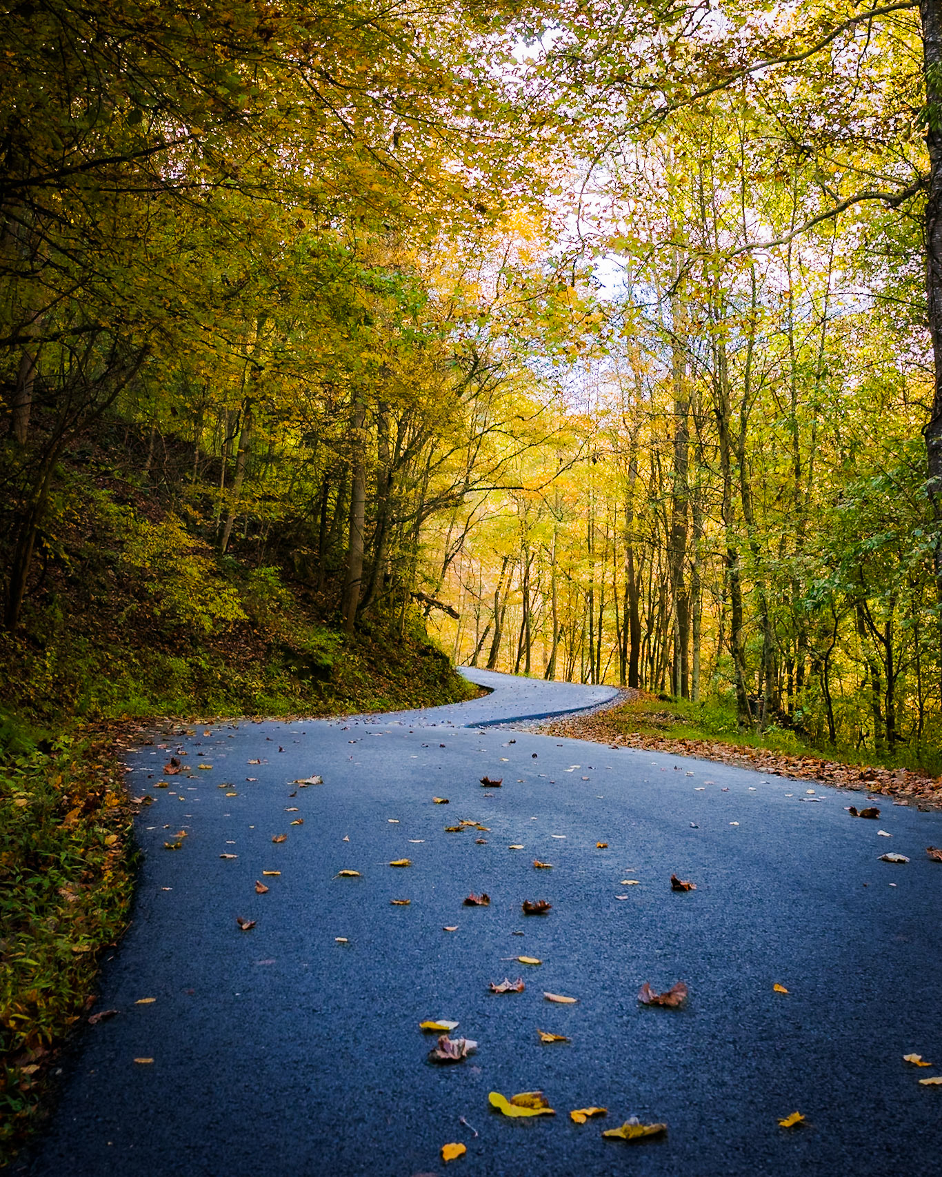 Autumn landscape scenery in the New River Gorge area of West Virginia