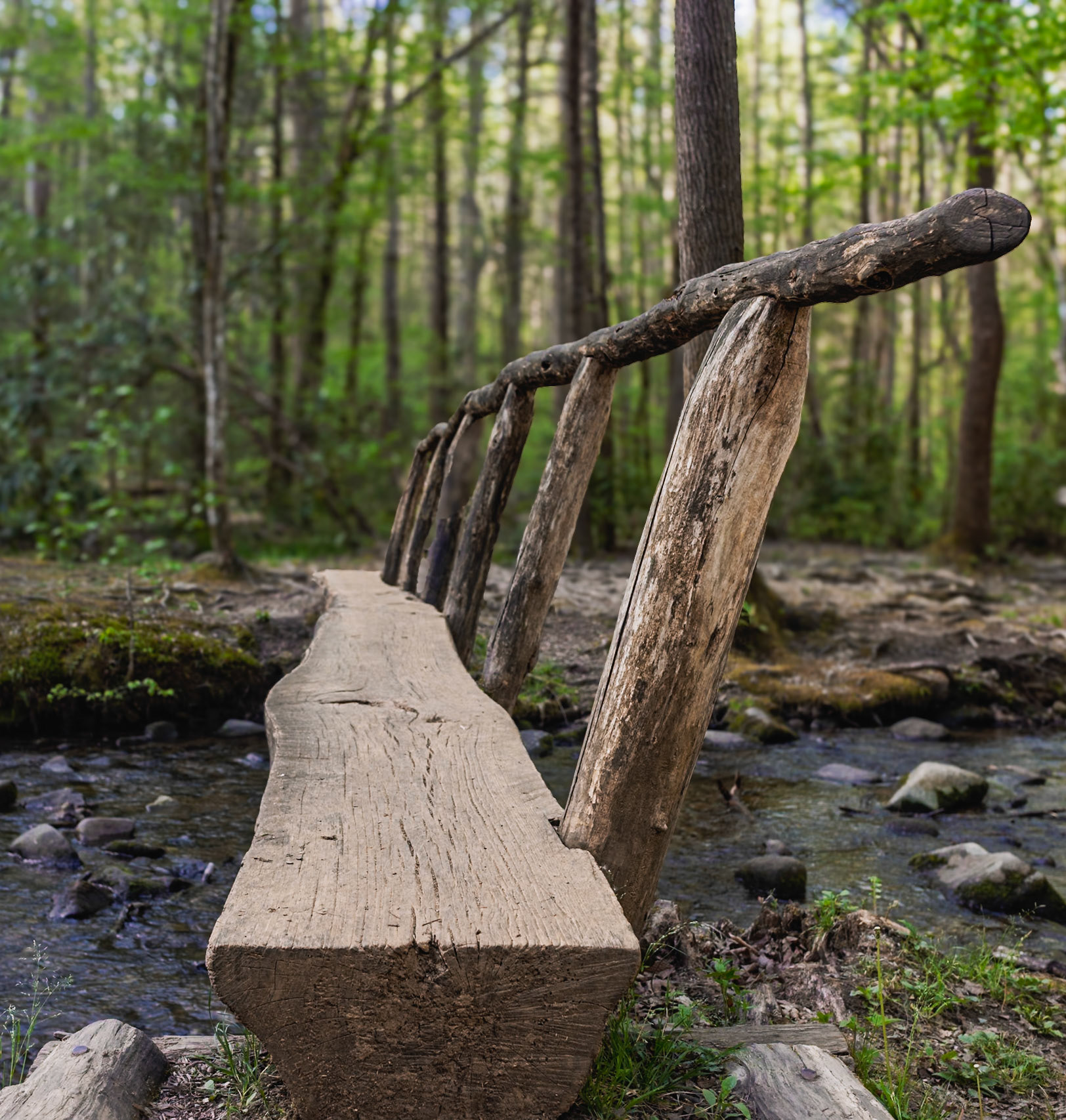 Typical stream wooden footbridge located in the Green Briar section of the Great Smoky Mountains of Tennessee
