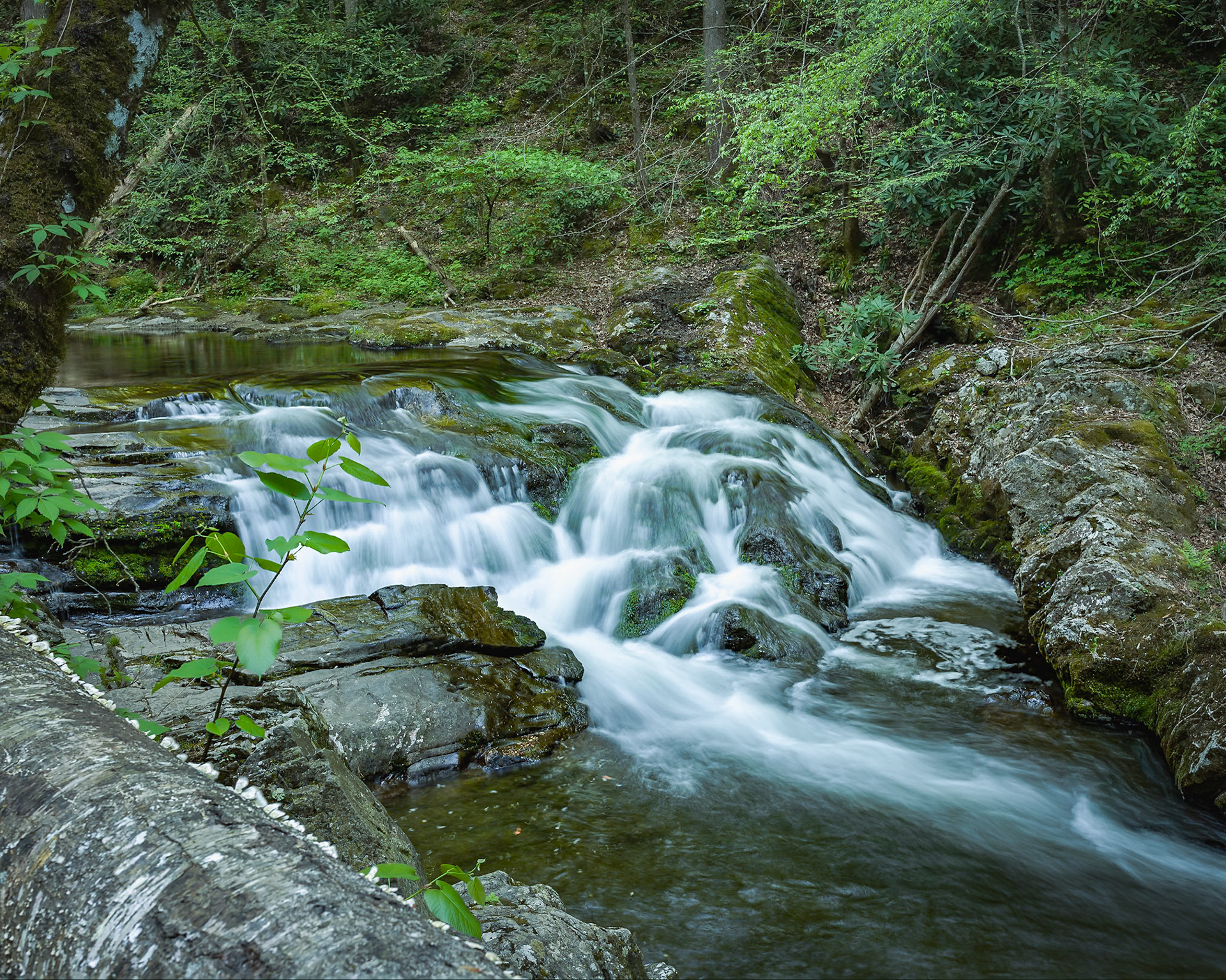 Small roadside waterfall in the Smoky Mountains of Tennessee