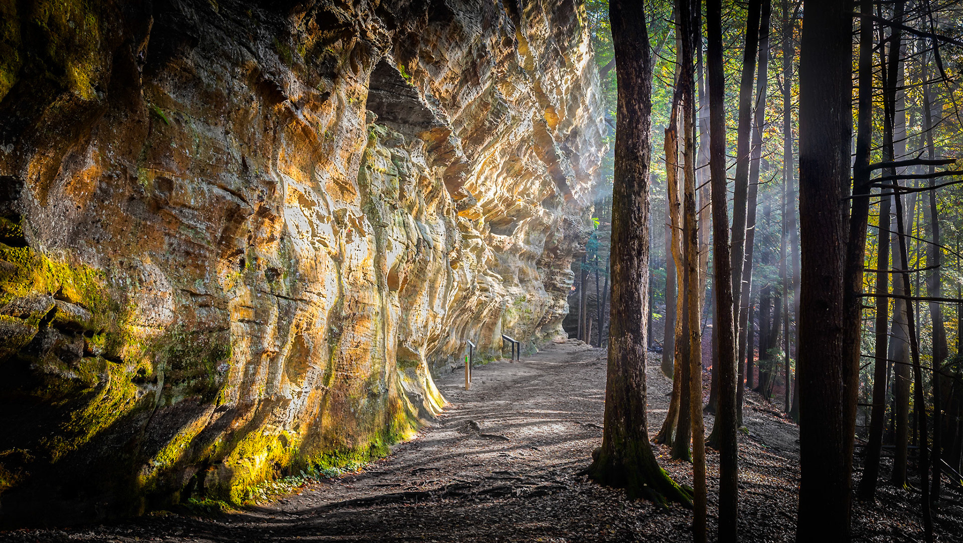 The last lingering overnight mist on the Whispering Cave trail on a crisp October morning