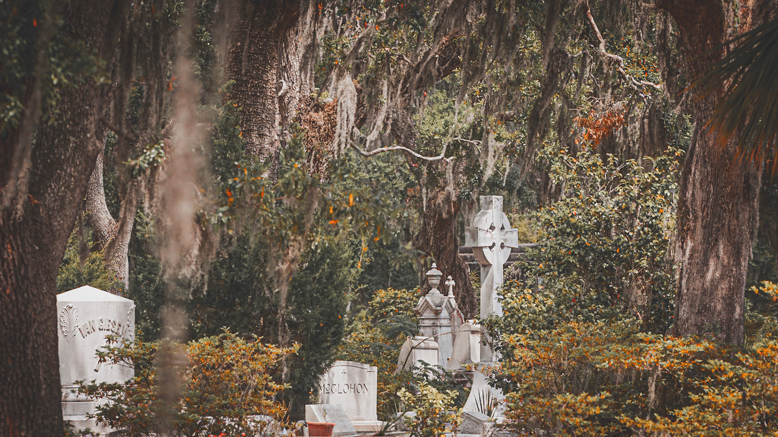 Backdrop for scenes of the movie Midnight in the Garden of Good and Evil