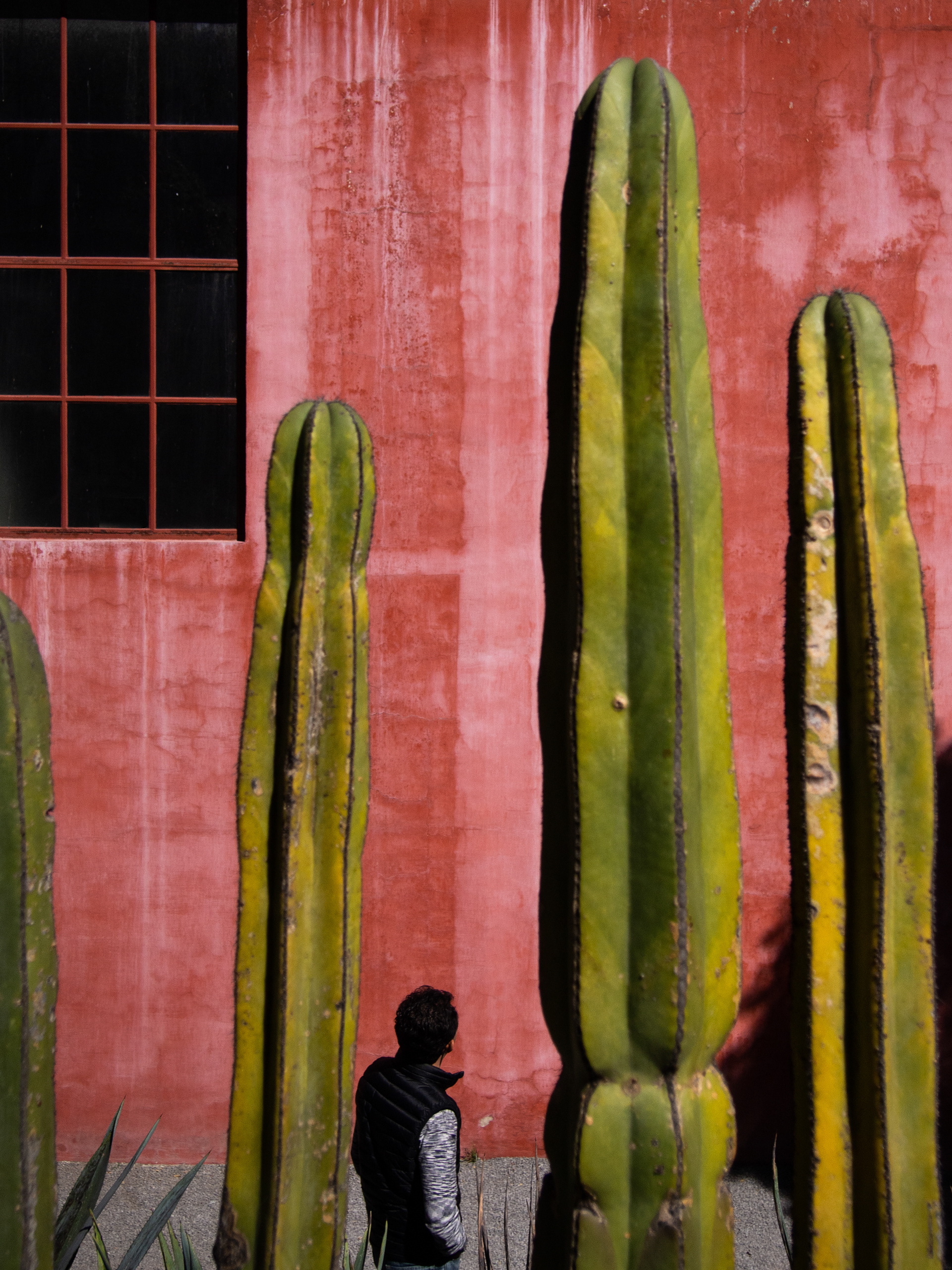 Central American Photographic Prints