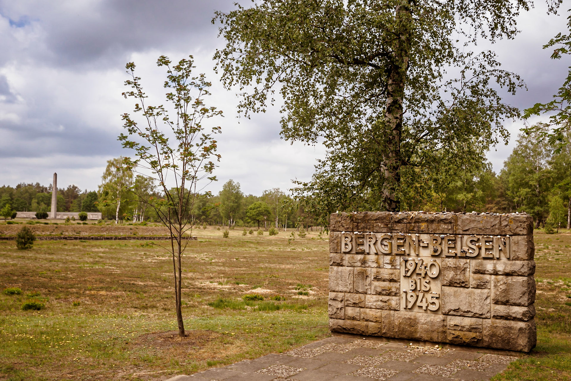 Südheide 2020