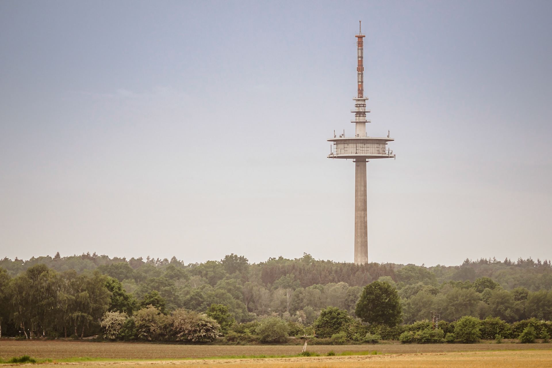 Südheide 2020