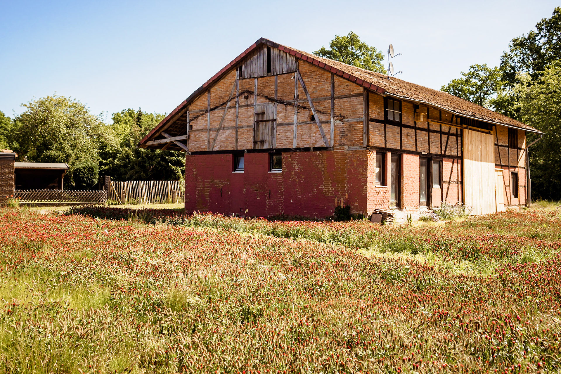 Südheide 2020