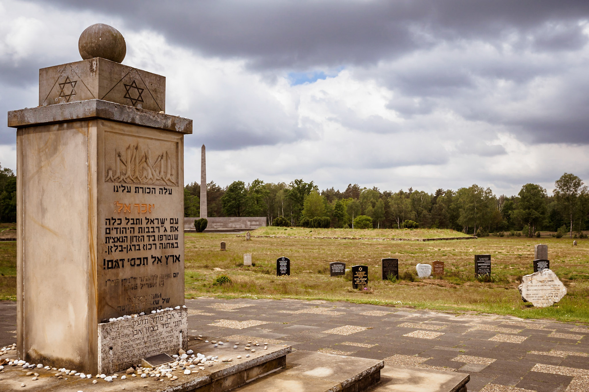 Südheide 2020