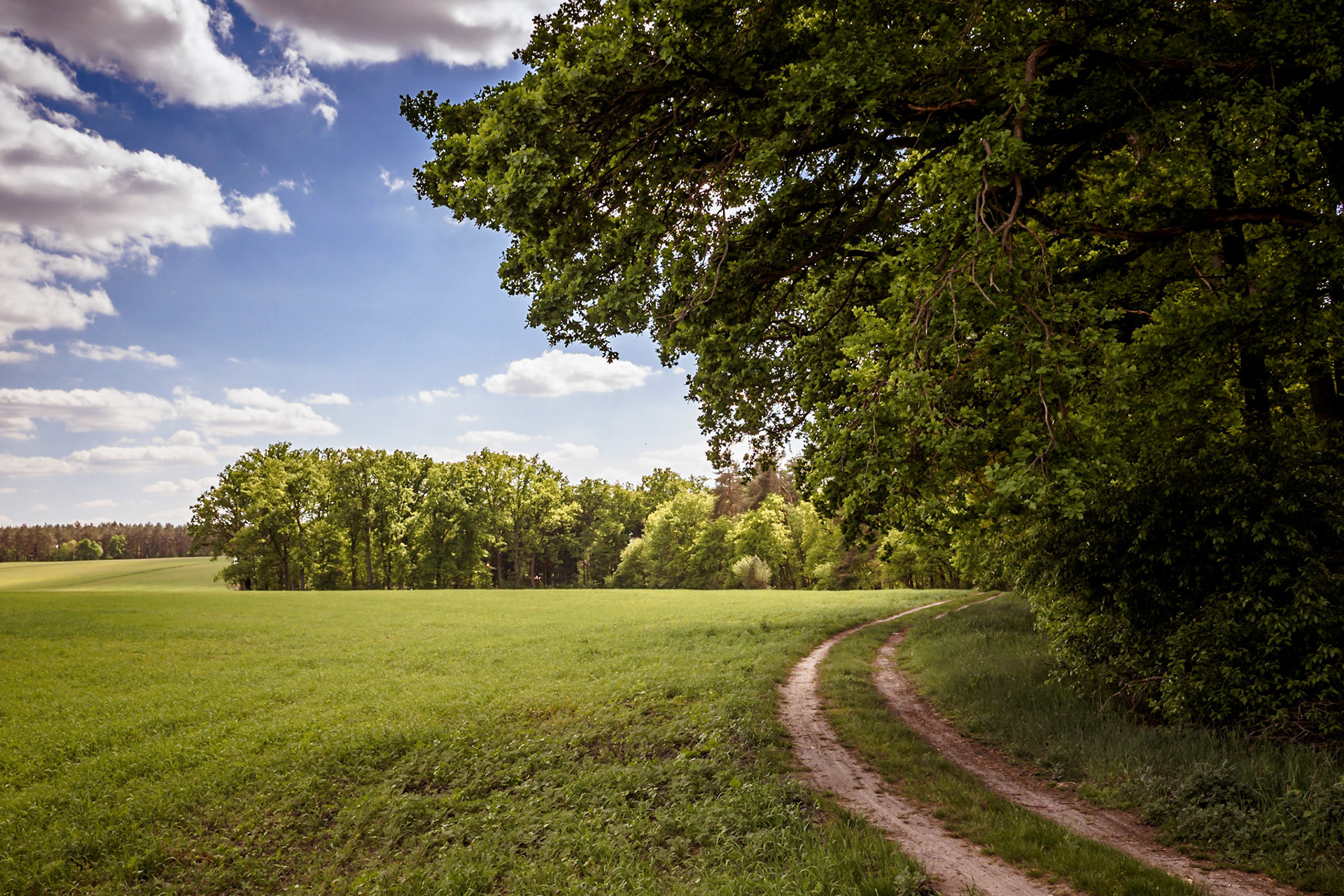 Südheide 2020