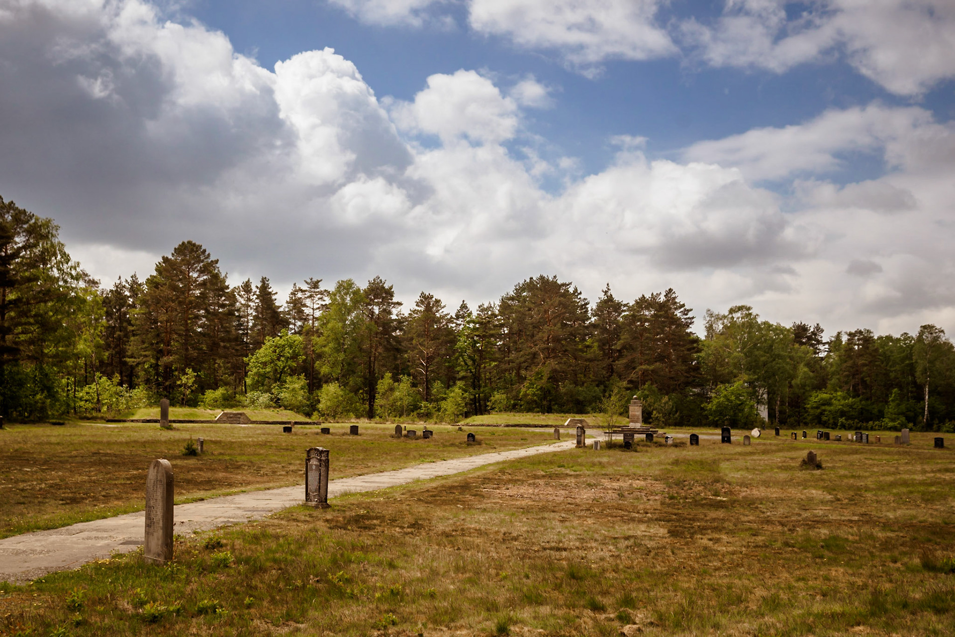 Südheide 2020