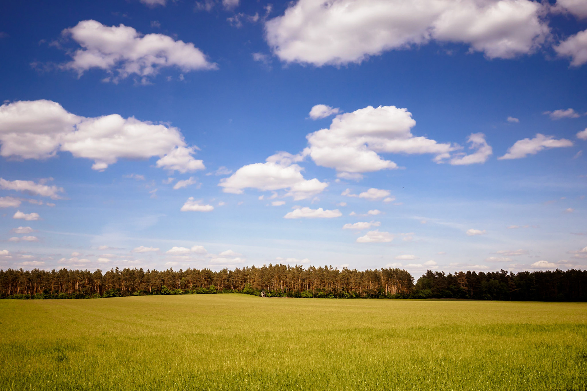 Südheide 2020