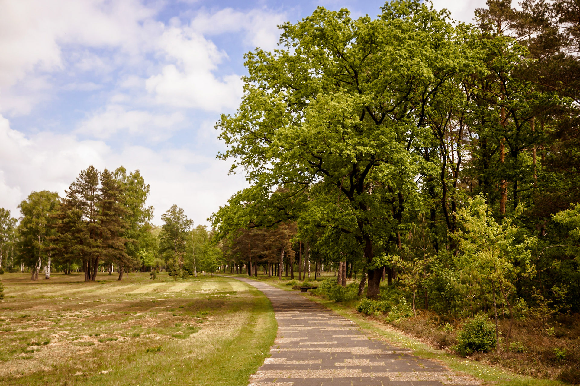 Südheide 2020