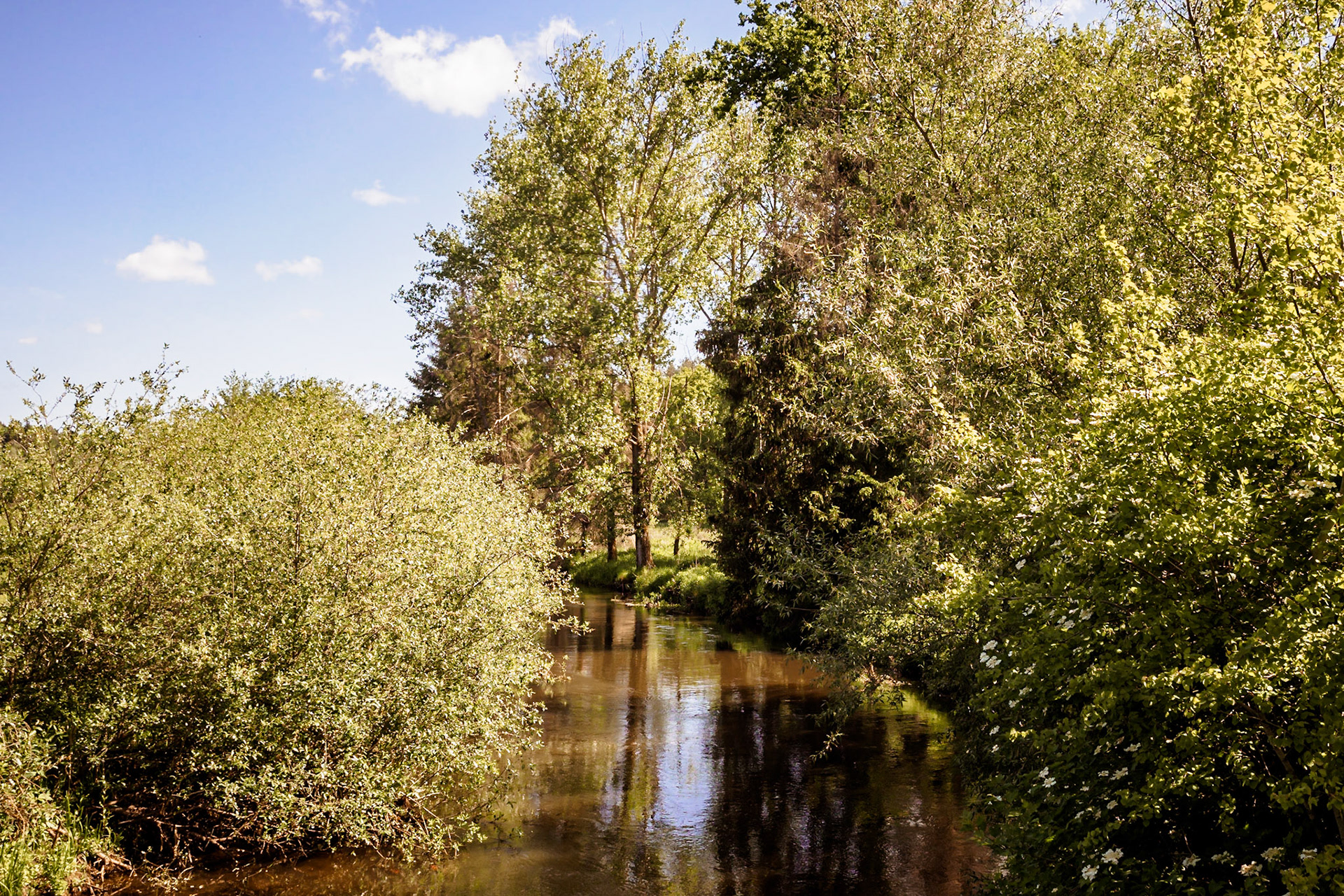 Südheide 2020