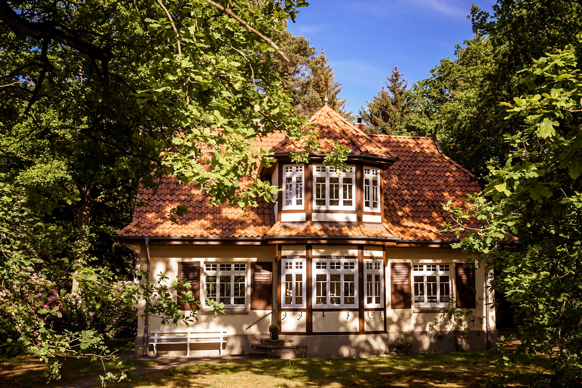 Südheide 2020