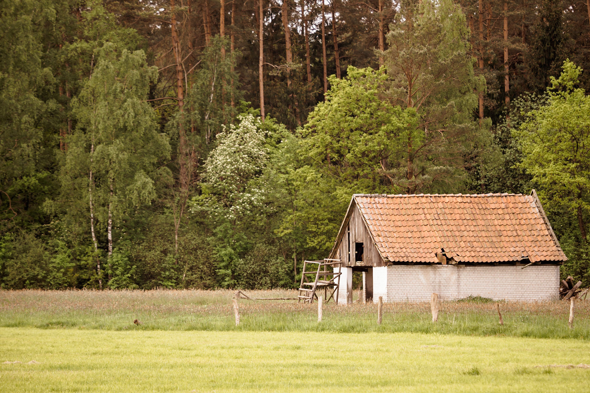 Südheide 2020