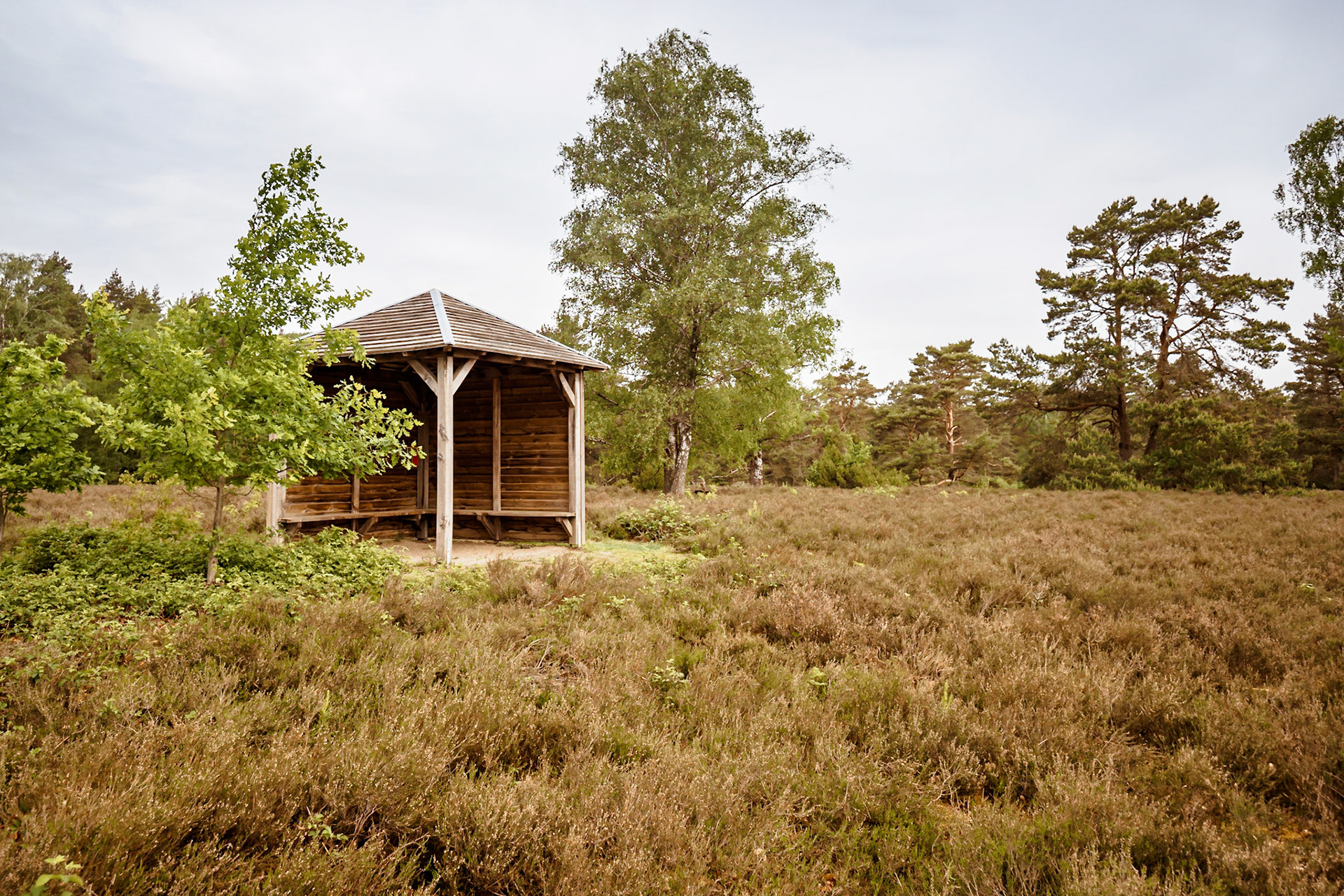 Südheide 2020