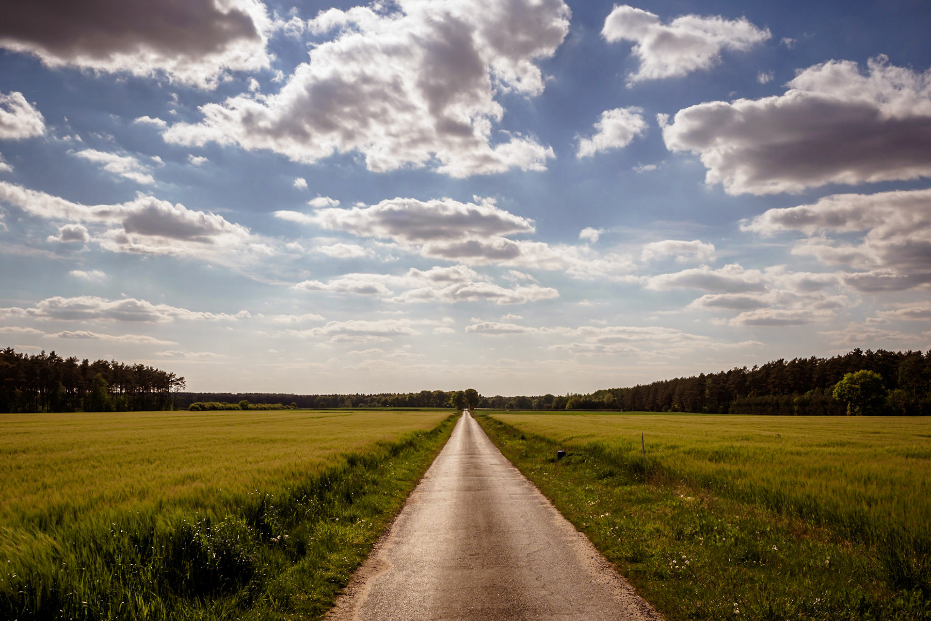 Südheide 2020