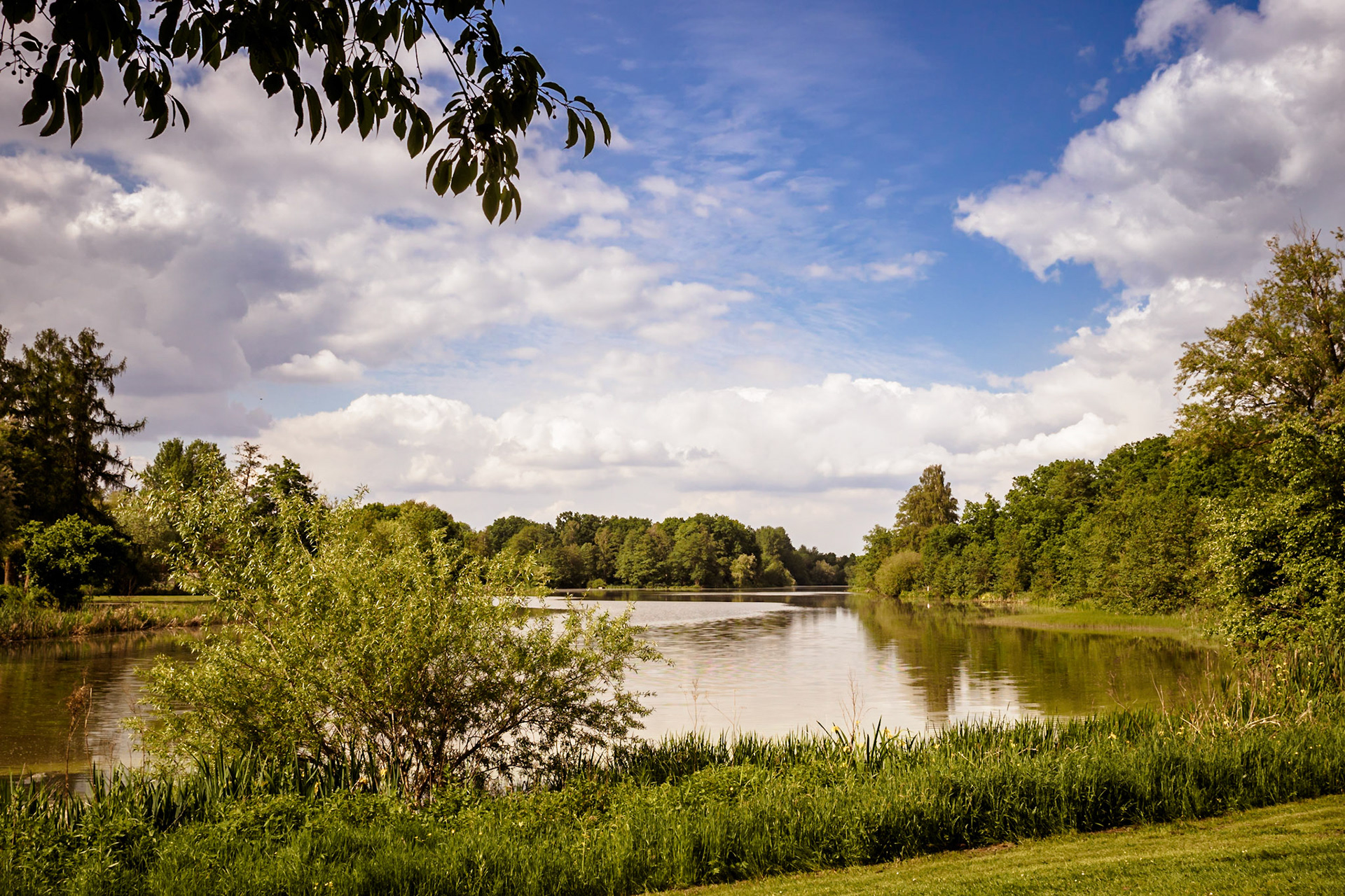 Südheide 2020