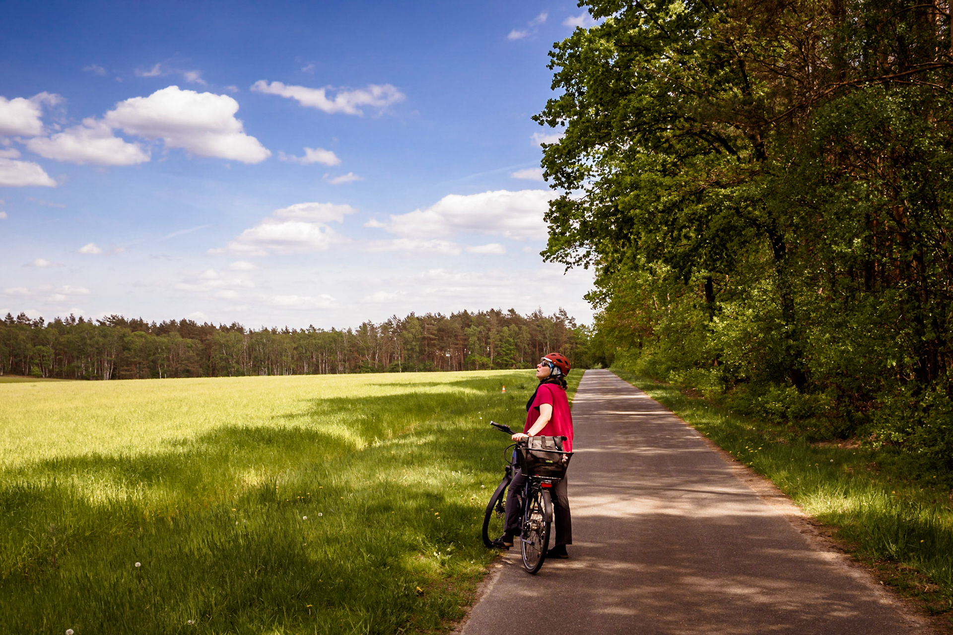 Südheide 2020