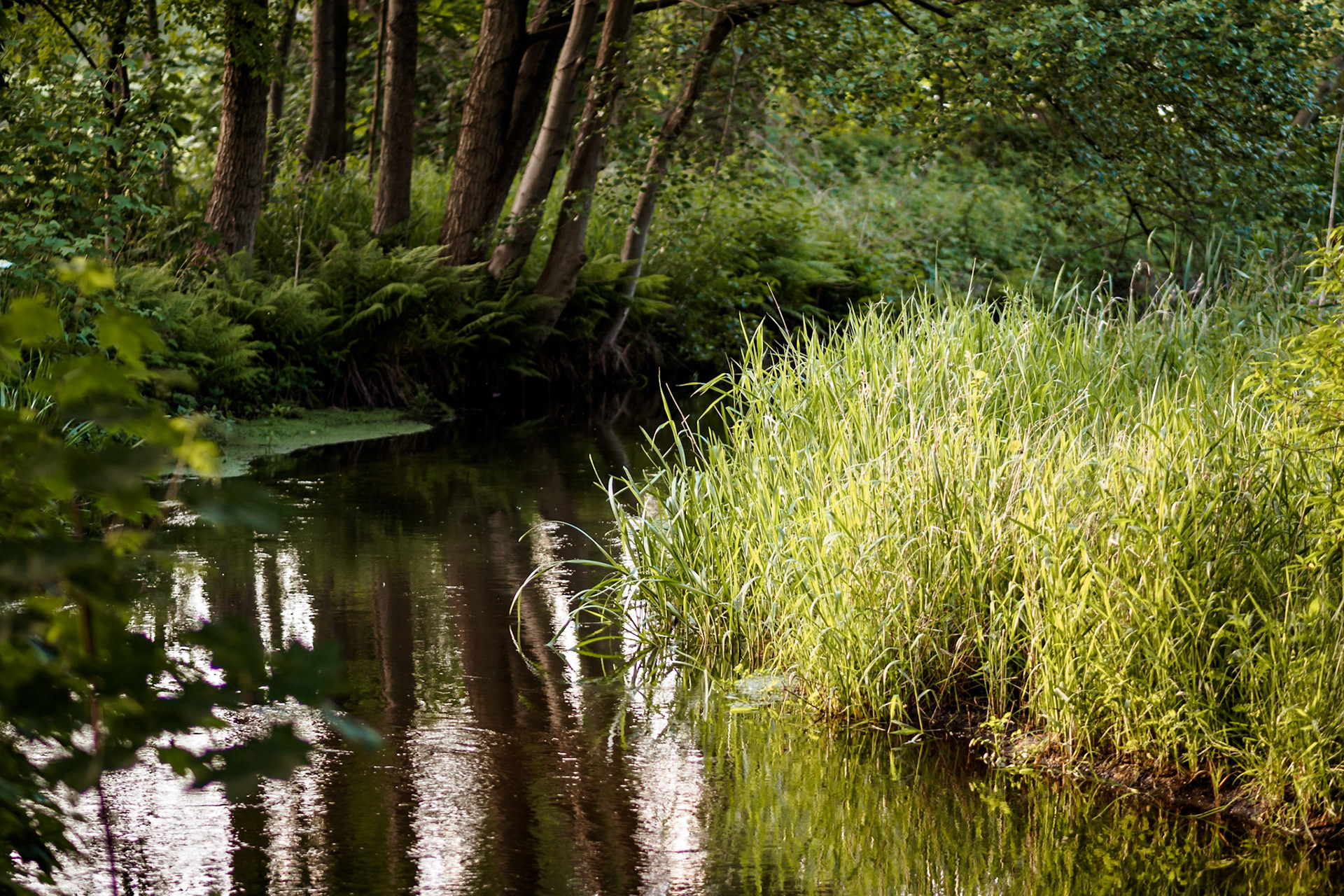 Südheide 2020