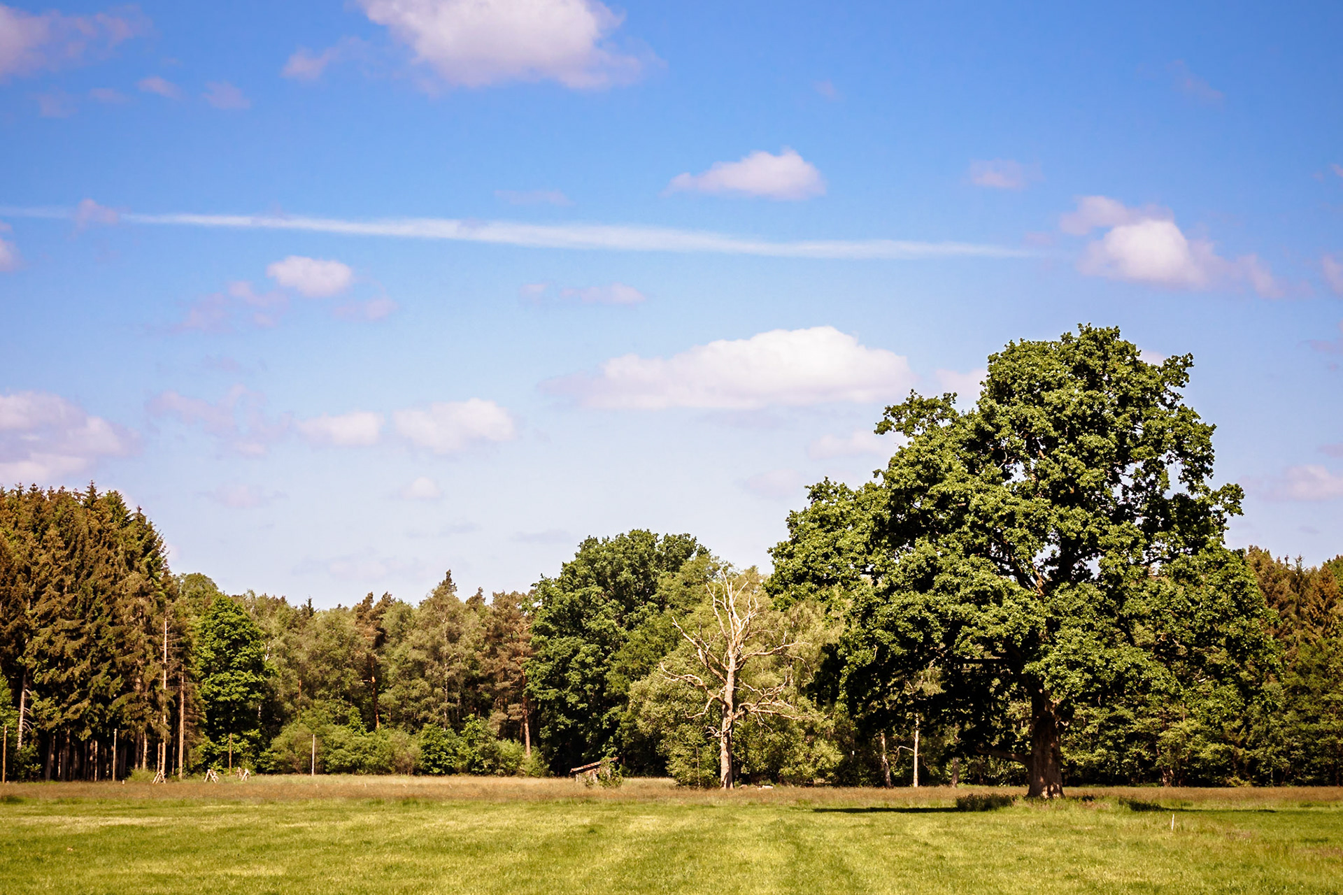 Südheide 2020