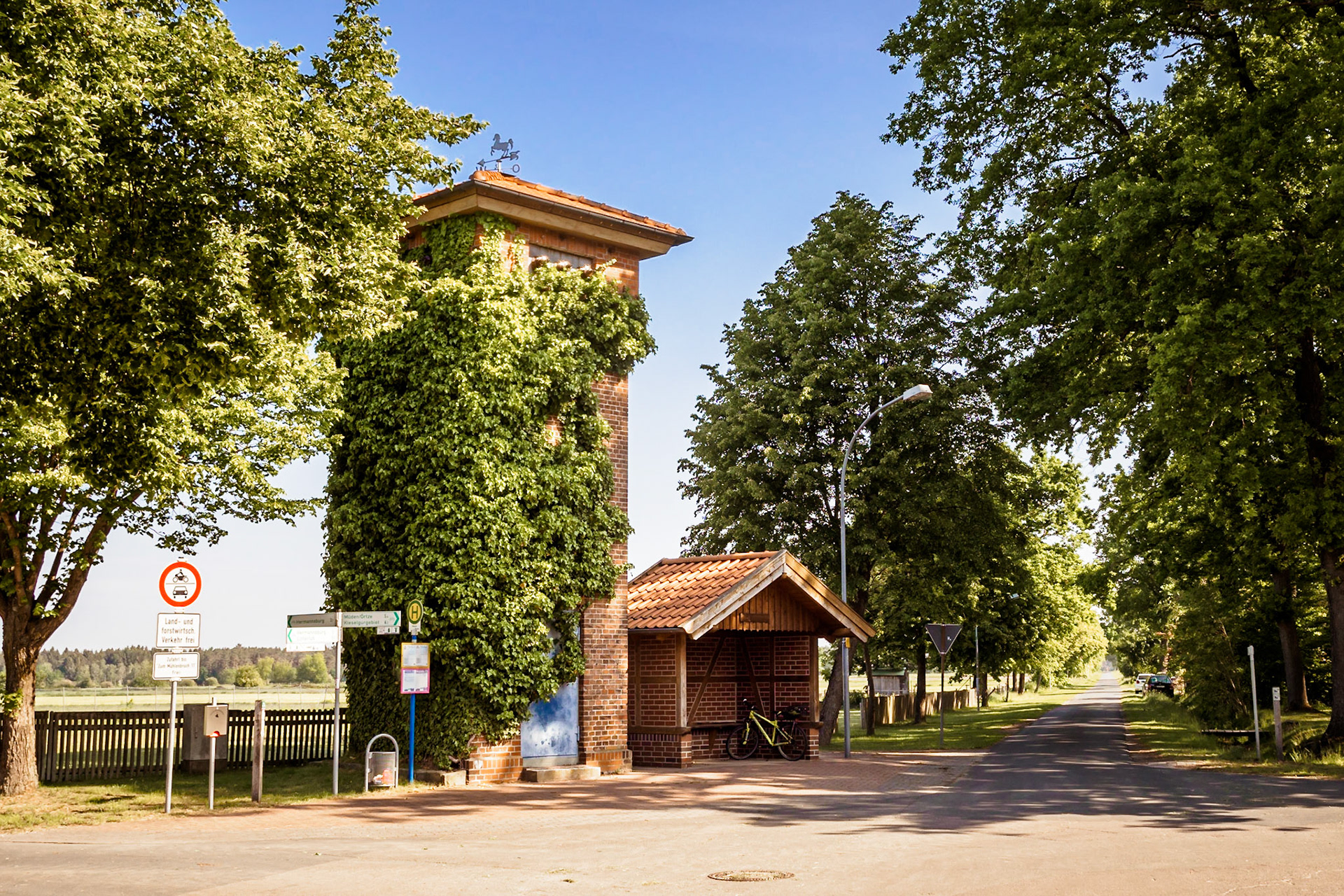 Südheide 2020