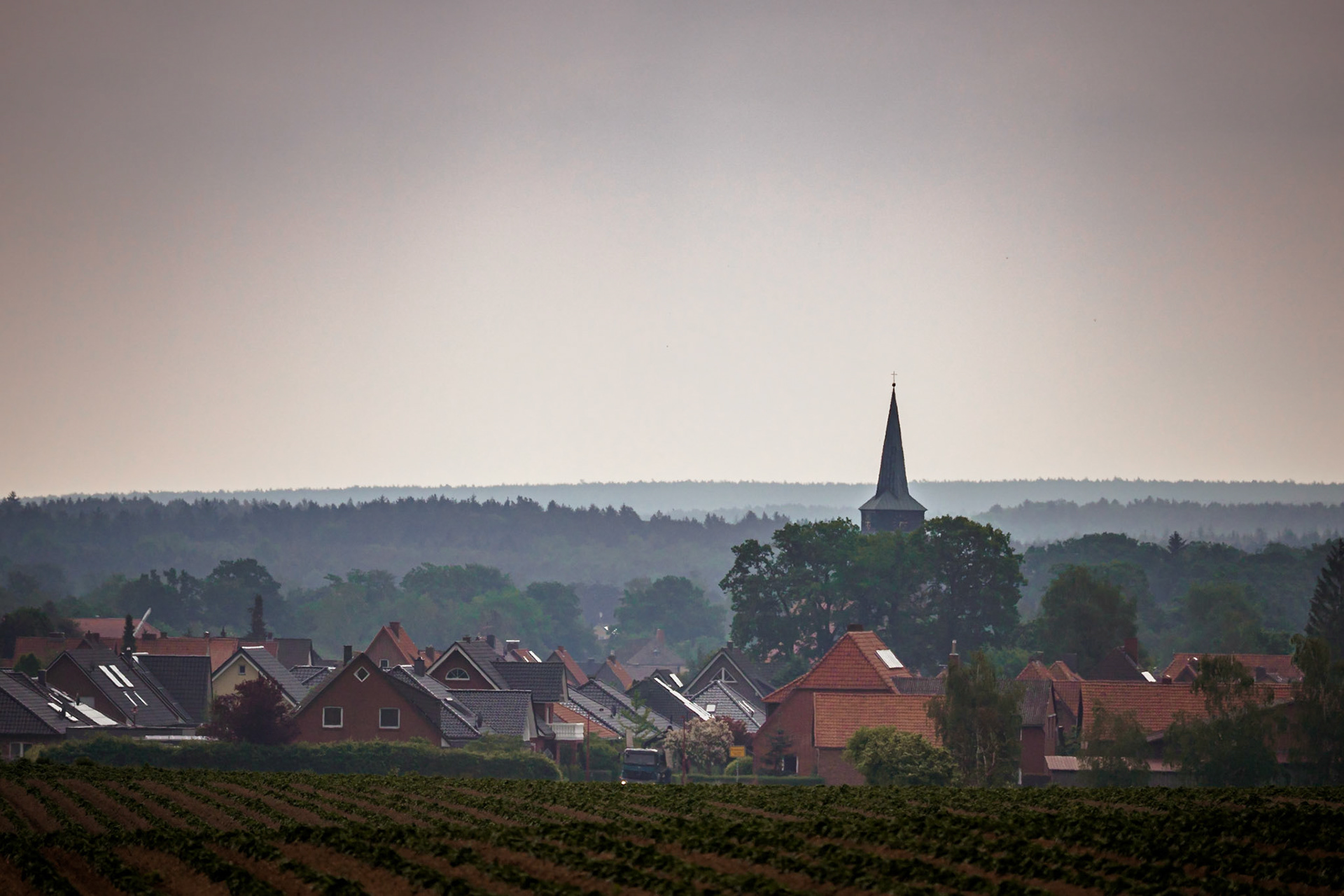 Südheide 2020