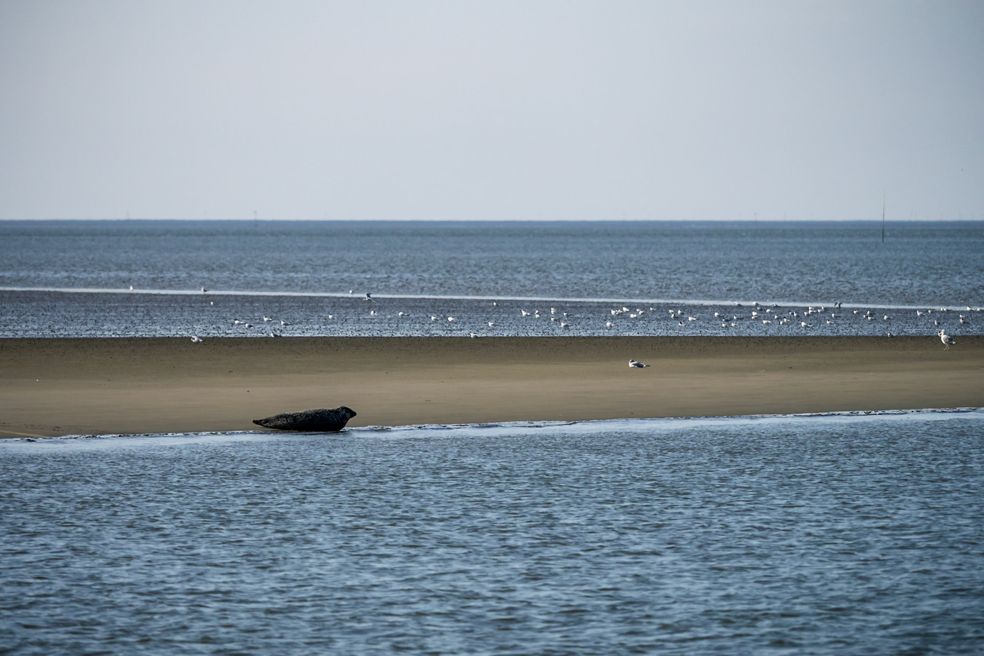 Bremerhaven 2018