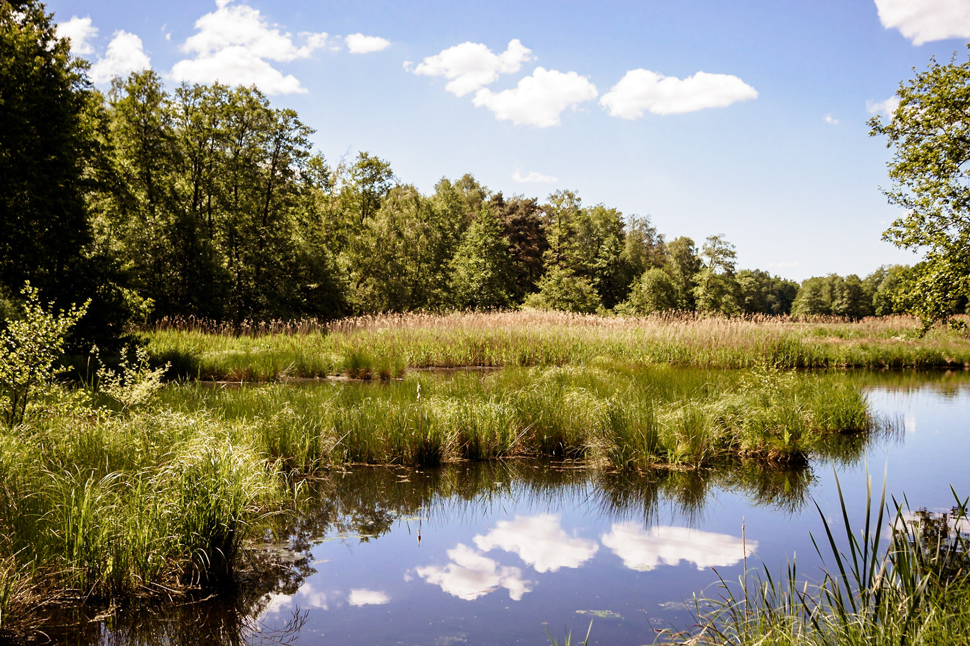 Südheide 2020