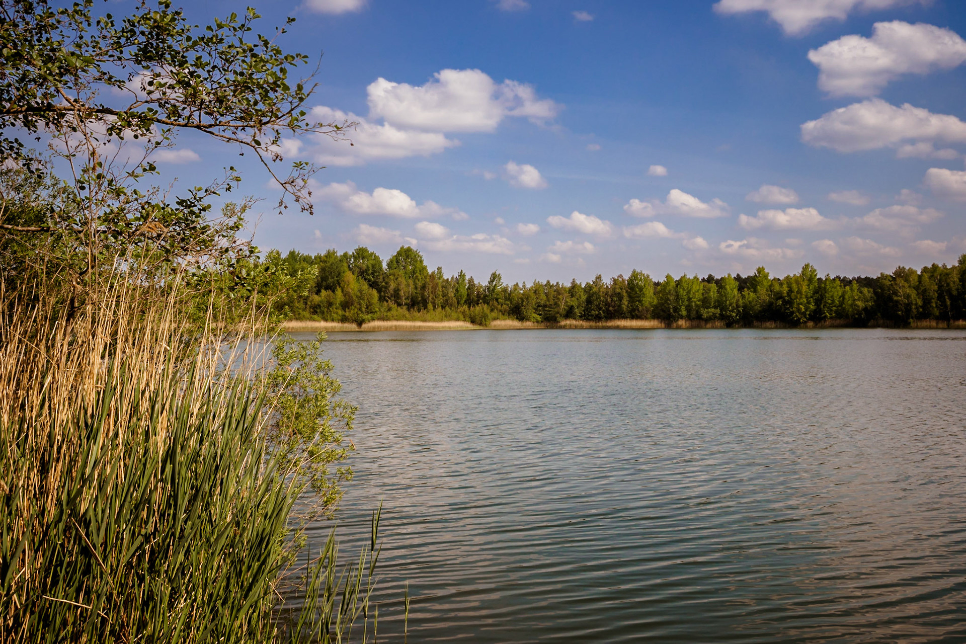 Südheide 2020
