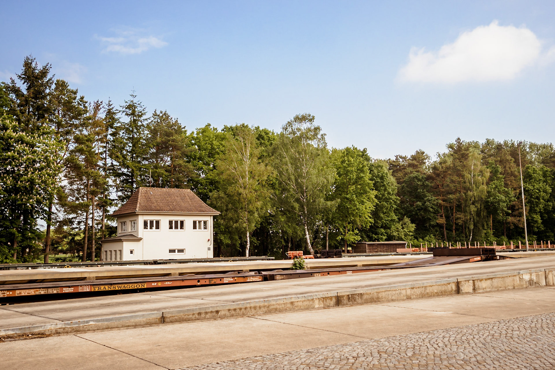 Südheide 2020