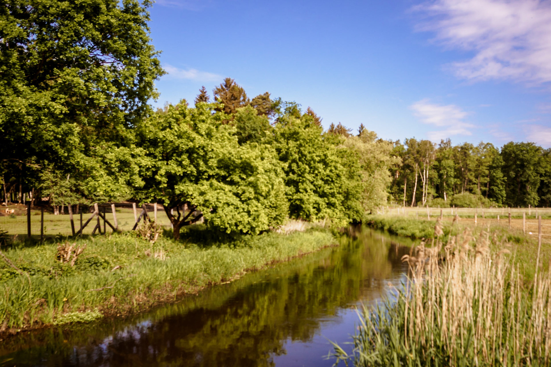 Südheide 2020